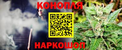 мдпв Гагарин