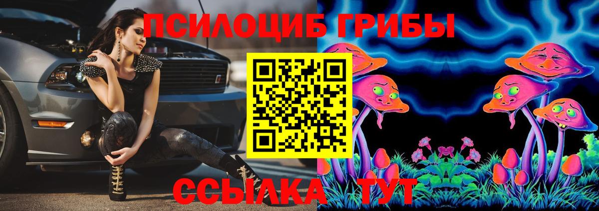 как найти наркотики  Вход с VPN  Гай  Псилоцибиновые грибы ЛСД  Галлюциногенные грибы мицелий 